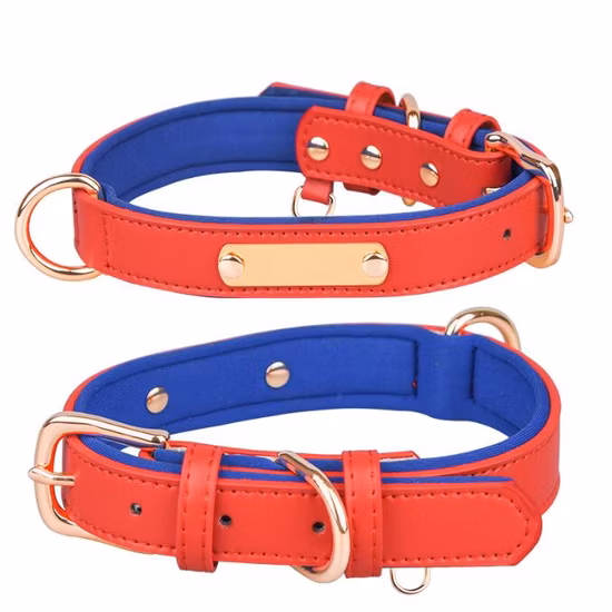 Collier de chien en cuir Boucle en laiton Collier de chien rembourré doux