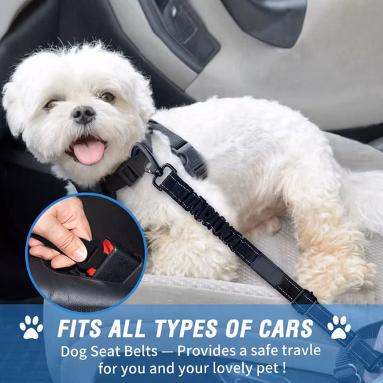 3-en-1 Heavy Duty Réglable Durable Universal Dual-Safe Pet Dog Car Seat Belts Dog Restraint