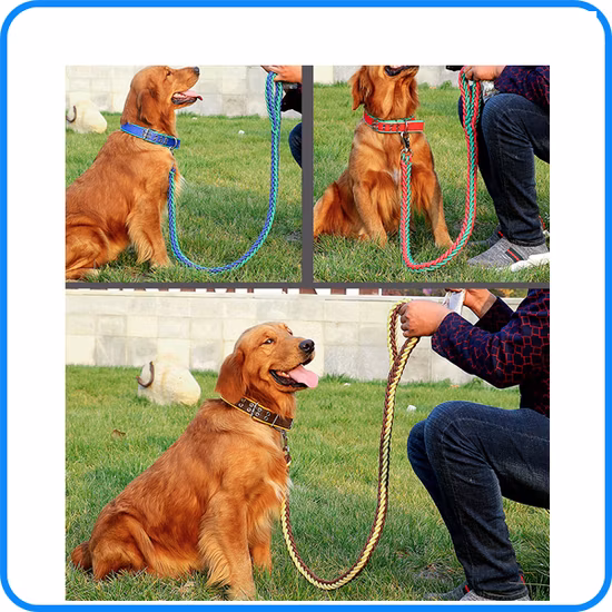 Collier pour animaux de compagnie en nylon de chien de chiot d'usine de prix d'usine (HP-107)